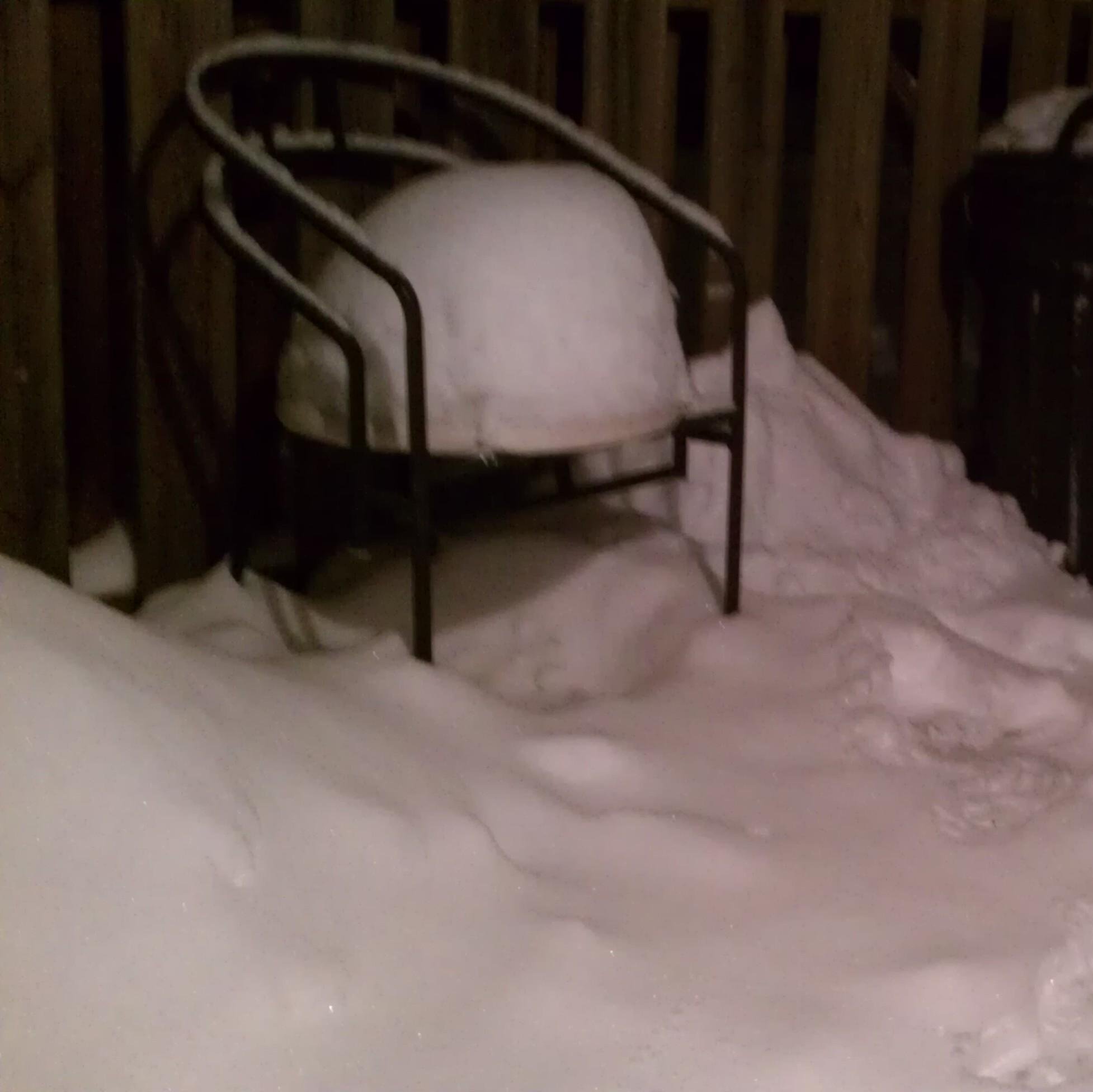 SpiderSilvaIII's profile picture. Fan