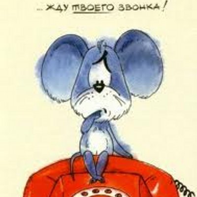 Открытки, картинка смешная жду звонка