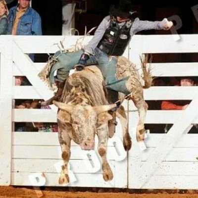Live life to the fullest