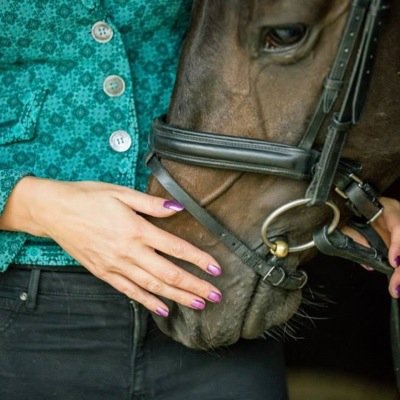 equinetax1's profile picture. Accountancy & tax specialists for the equine industry. We travel to you making it easier for you and allowing us greater insight into your business.