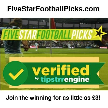 FSFootballTips's profile picture. 