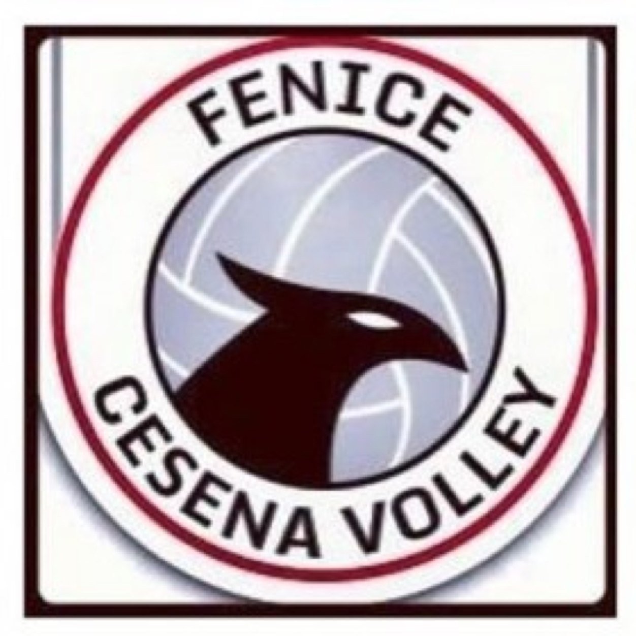 Men's Volleyball Cesena, powered by besport