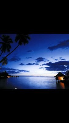 Mohammad_S_M_H's profile picture. لا إله إلا أنت سبحانك إني كنت من الظالمين