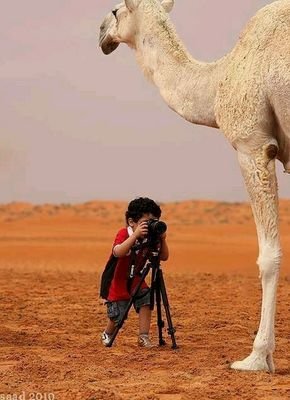 يانفس !كوني عالقدار صباره...ج