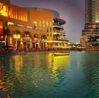 Fatima_Suliman9 Profile Picture
