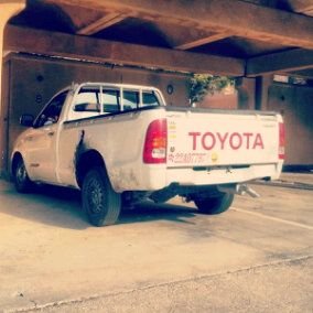 gfghfvybgu's profile picture. 