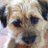 Cleo_BT's profile image