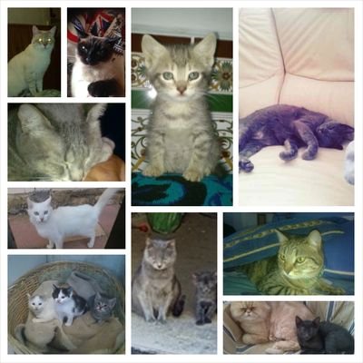 yoli_fdz's profile picture. soy una persona normal q le gustaria disfrutar lo q la vida le pueda ofrecer