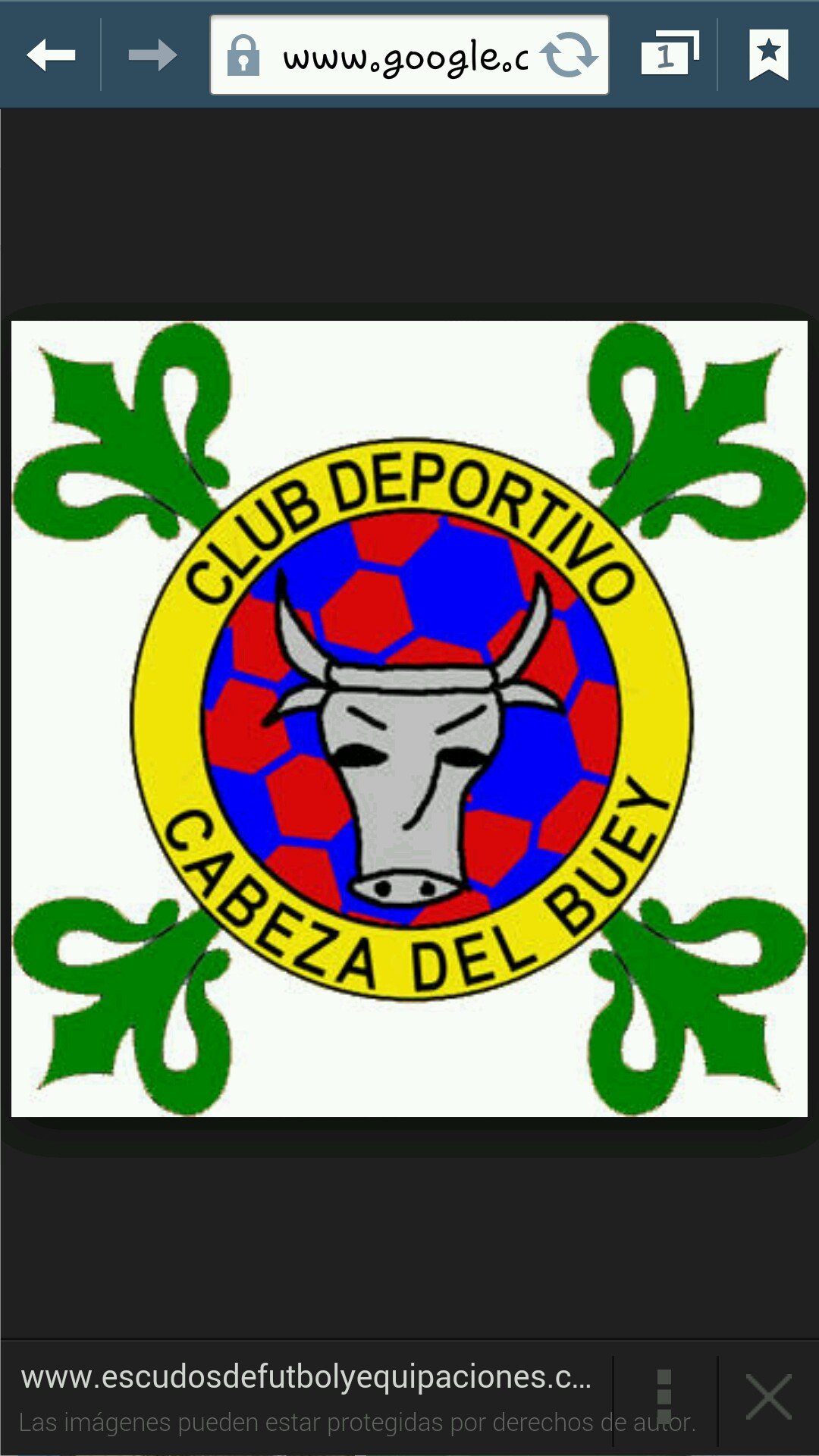 C.D. Cabeza del Buey, categorias Infantiles, Cadetes , Juvenil y Veteranos