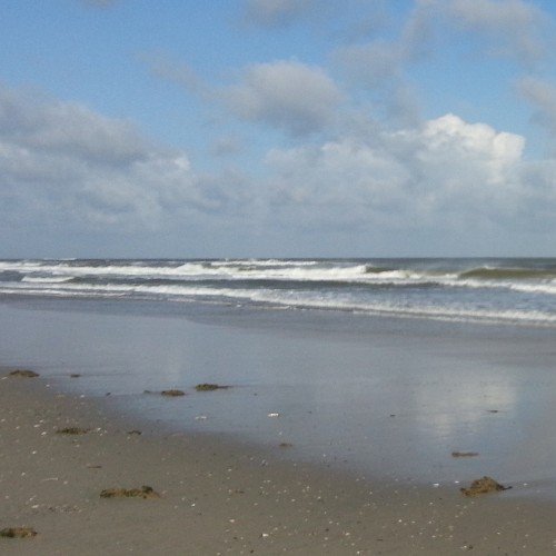 atzpodien's profile picture. Cancer doctor, researcher & ethicist