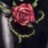 yakreezek23081's profile image