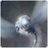 a76152268's profile image