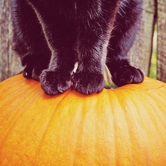 Its October. This month ; Halloween.