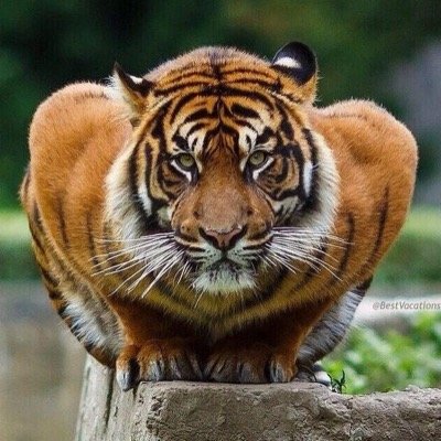 Garytwalcott's profile picture. 