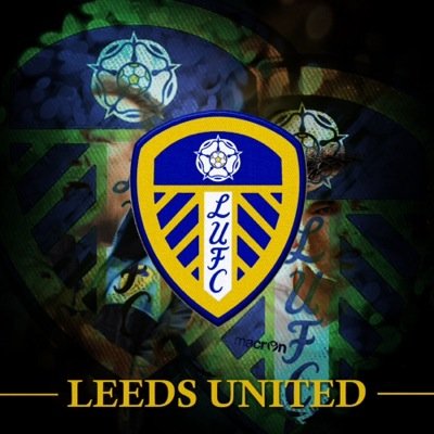 PS3 gamer and LUFC fan