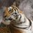 a25856936's profile image
