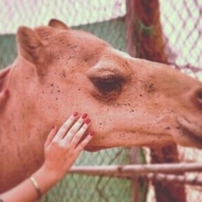 و يُعطي الله بالظن الجميل جمالاً لم تراه العيون ♡... 

      #مُعلمة_لغة_عربية