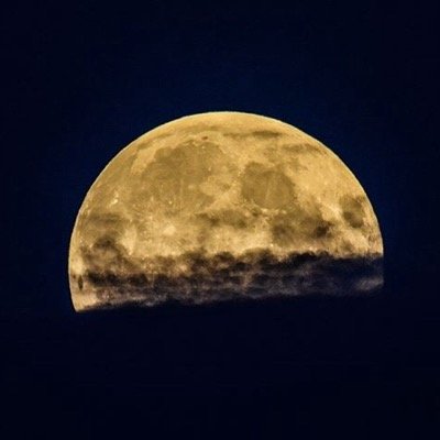 billyrecycle's profile picture. 