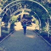 ÖzlemDgdr (@ozlemdgdr) 's Twitter Profile