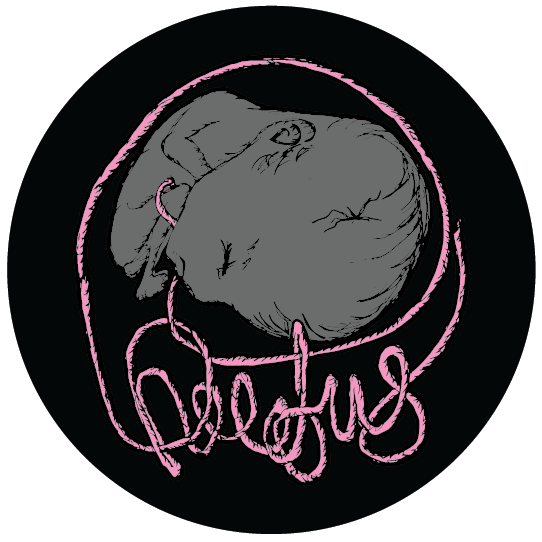 Pheeetus's profile picture. Bass Music Producer keeping it skanky as fuck....http://t.co/utt8h3PEV1