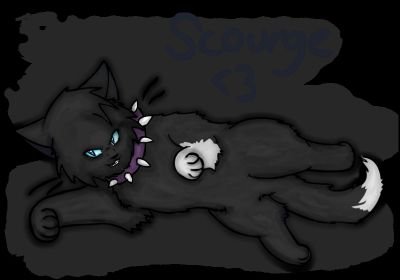 Hi!! :D im a 13 yr old girl and i love warrior cats!! go follow my friend @LUNA_IS_HUMAN plz