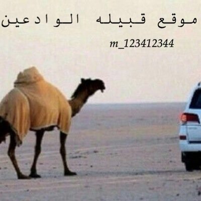 '''انا عمري صــغيِــر بس عقلي عقل شايب'''