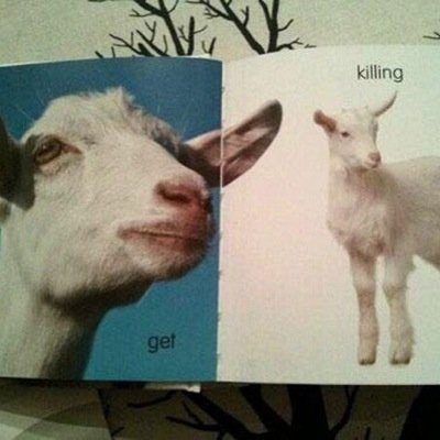 Kierkegrrrd's profile picture. Bristol socialist. ☭ + philosophy. ACORN AF.