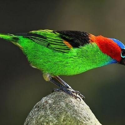 Amruddin_Mu's profile picture. 