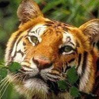 Предприниматель, украинец, женат