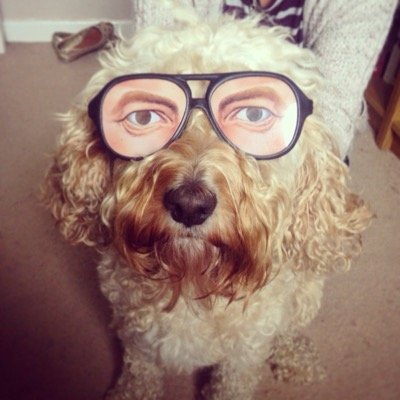 jamiew_ie's profile picture. 