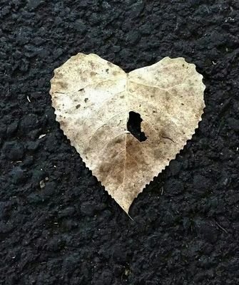 jorge_j_sos's profile picture. 2 x Heart Attack and SCAD survivor