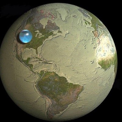 MitchMitchrapp's profile picture. 