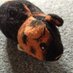 Rusty Pig (@piginapipe) Twitter profile photo Rusty Pig (@piginapipe) Twitter profile photo