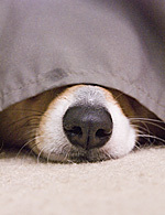 jeffronicus's profile picture. San Diego sci-fi geek and web content strategist, pet photographer and recovering journalist. It should go without saying, but my opinions are my own.