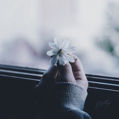 انستقرام ،، 6iil__123