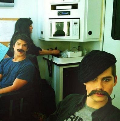 HalloteenWolf's profile picture. Free follow from @brienodylan__ so go follow me over there! just ask for a follow back