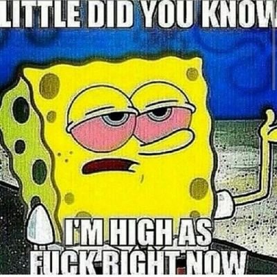 Follow I Follow Back | Join The Marijuana Movement | Stoners Are Awesome | BBME- 7F653535