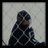 tapatr's profile image