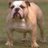 a68657748's profile image