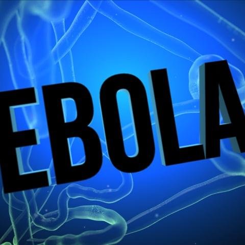 The Offical Ebola Epidemic Page!