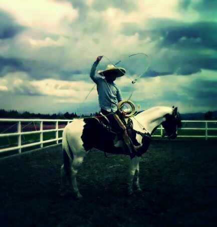 manolopalo's profile picture. Charreria