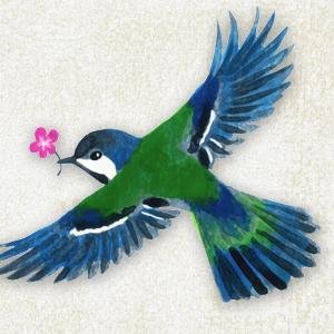 すずめさんのプロフィール画像
