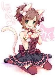 Meow~. Hello sweeties.the name's Leyla.I'm a Neko and maid.#RP #18+ #Single #Bi #openDMs