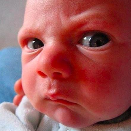 RandomCampaigns's profile picture. 