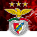 Benfica Sempre (@_benficasempre) Twitter profile photo Benfica Sempre (@_benficasempre) Twitter profile photo