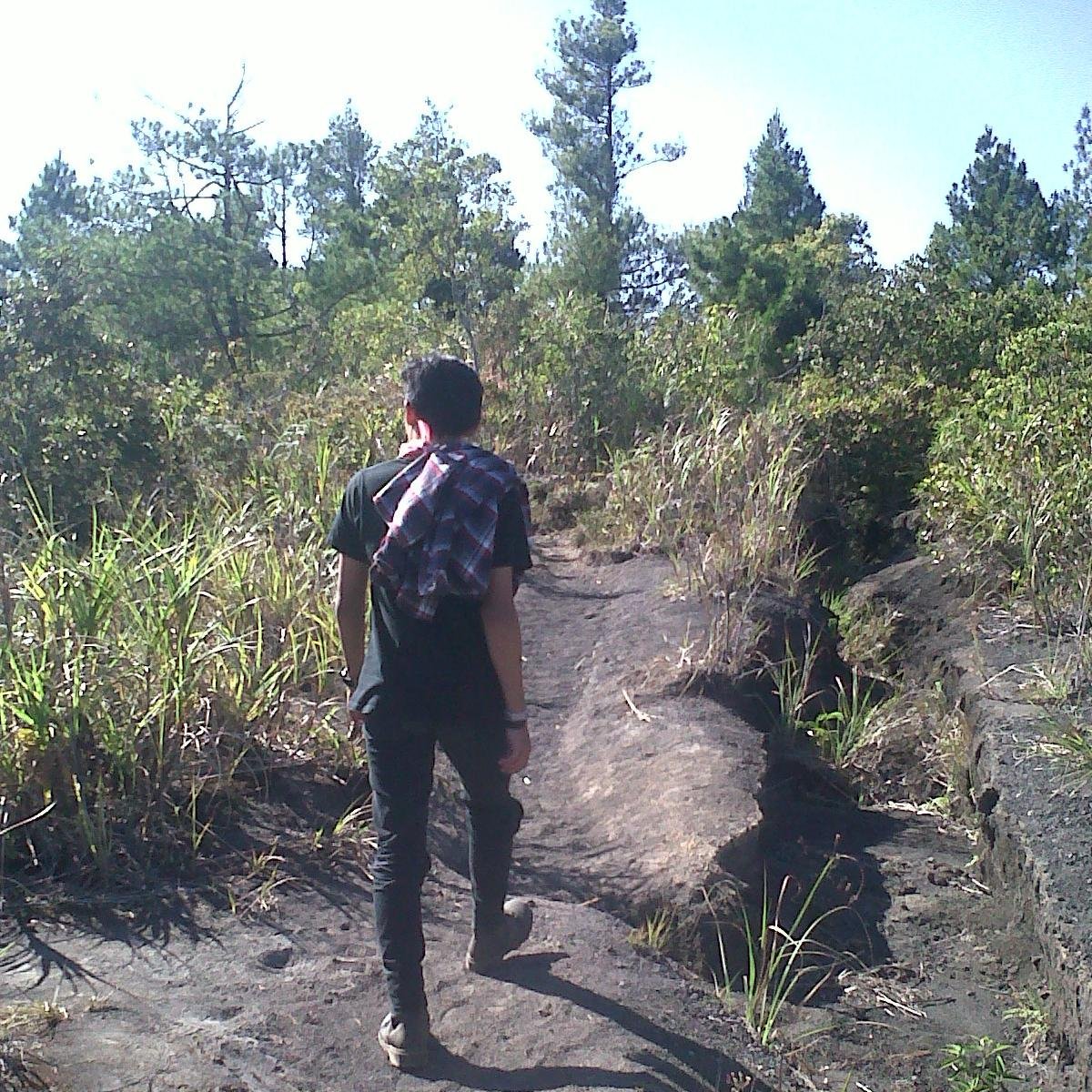 StewartBNL's profile picture. 