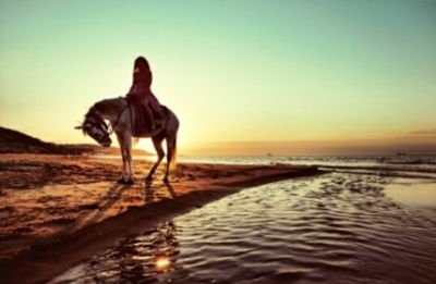 antikkuntiik's profile picture. 