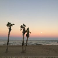 MerchetaVid (@merchetavidal) 's Twitter Profile