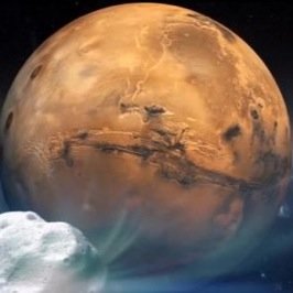 SweetMissSophie's profile picture. 