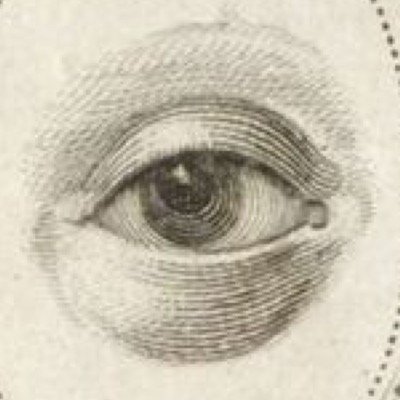 makromanga's profile picture. 